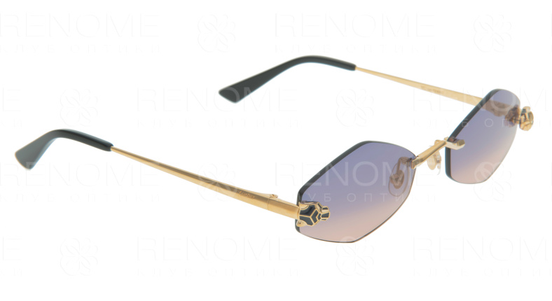 Солнцезащитные очки Cartier CT0433S-005 55 (+) фото 1
